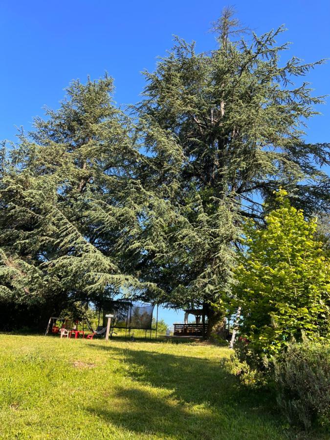 Domaine le Manoir, gîtes de charme et de caractère avec piscines privatisées Fossemagne Exterior foto